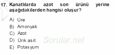 Temel Veteriner Fizyoloji 2013 - 2014 Ara Sınavı 17.Soru