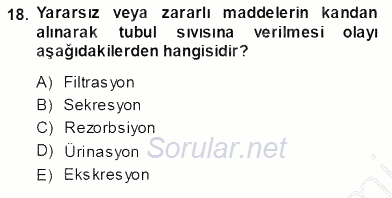 Temel Veteriner Fizyoloji 2013 - 2014 Ara Sınavı 18.Soru