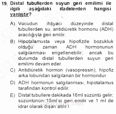 Temel Veteriner Fizyoloji 2013 - 2014 Ara Sınavı 19.Soru