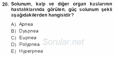 Temel Veteriner Fizyoloji 2013 - 2014 Ara Sınavı 20.Soru