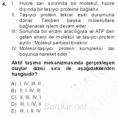 Temel Veteriner Fizyoloji 2013 - 2014 Ara Sınavı 4.Soru