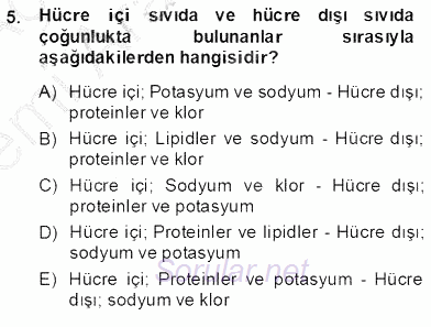 Temel Veteriner Fizyoloji 2013 - 2014 Ara Sınavı 5.Soru