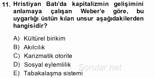 Yeni Toplumsal Hareketler 2014 - 2015 Ara Sınavı 11.Soru