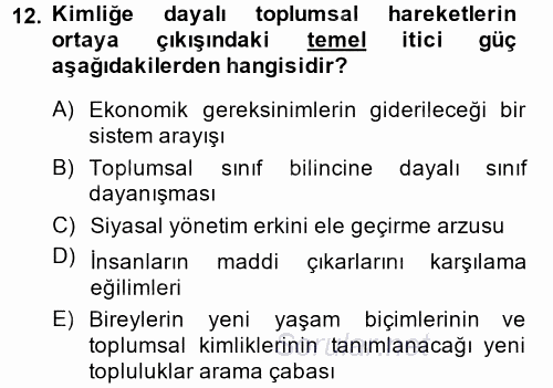 Yeni Toplumsal Hareketler 2014 - 2015 Ara Sınavı 12.Soru