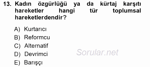 Yeni Toplumsal Hareketler 2014 - 2015 Ara Sınavı 13.Soru