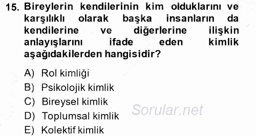 Yeni Toplumsal Hareketler 2014 - 2015 Ara Sınavı 15.Soru