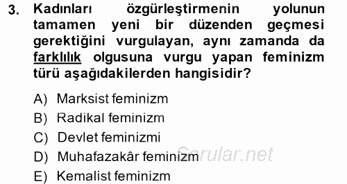 Yeni Toplumsal Hareketler 2014 - 2015 Ara Sınavı 3.Soru