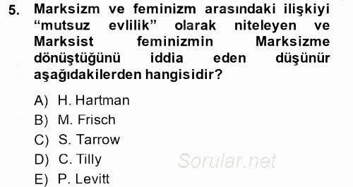 Yeni Toplumsal Hareketler 2014 - 2015 Ara Sınavı 5.Soru