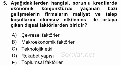 Bankalarda Kredi Yönetimi 2015 - 2016 Tek Ders Sınavı 5.Soru