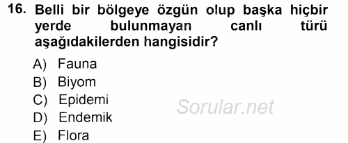 Ekoloji ve Turizm 2012 - 2013 Ara Sınavı 16.Soru