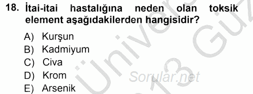 Ekoloji ve Turizm 2012 - 2013 Ara Sınavı 18.Soru