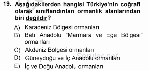 Ekoloji ve Turizm 2012 - 2013 Ara Sınavı 19.Soru
