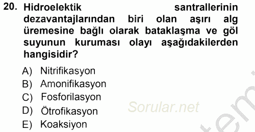 Ekoloji ve Turizm 2012 - 2013 Ara Sınavı 20.Soru