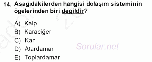 Temel İlk Yardım Bilgisi 2013 - 2014 Ara Sınavı 14.Soru