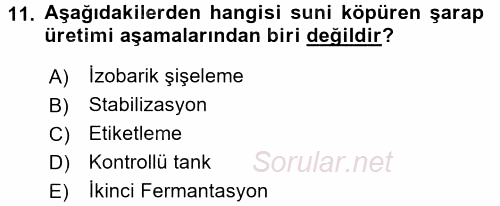 İçecek Bilgisi 2017 - 2018 Dönem Sonu Sınavı 11.Soru
