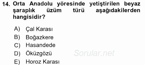 İçecek Bilgisi 2017 - 2018 Dönem Sonu Sınavı 14.Soru