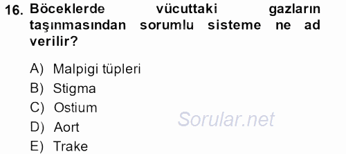 Entomoloji 2013 - 2014 Ara Sınavı 16.Soru