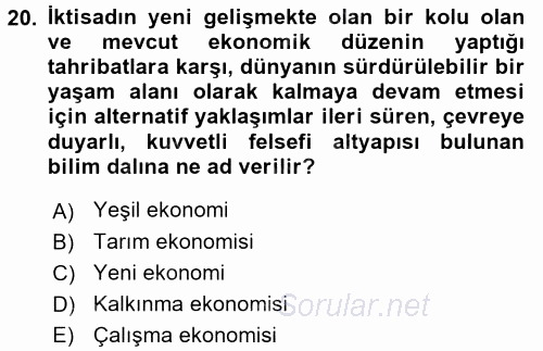 Sosyal Politika 2 2015 - 2016 Dönem Sonu Sınavı 20.Soru