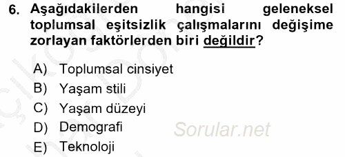 Toplumsal Tabakalaşma ve Eşitsizlik 2016 - 2017 Ara Sınavı 6.Soru