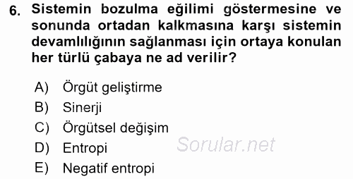 Yönetim ve Organizasyon 2016 - 2017 3 Ders Sınavı 6.Soru