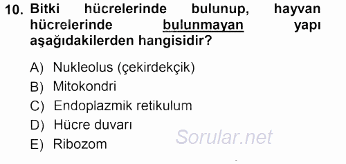 Genel Biyoloji 1 2012 - 2013 Ara Sınavı 10.Soru