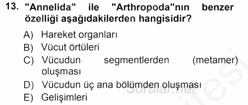 Genel Biyoloji 1 2012 - 2013 Ara Sınavı 13.Soru