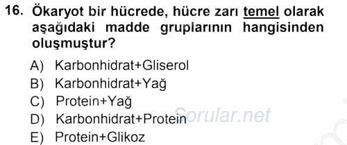 Genel Biyoloji 1 2012 - 2013 Ara Sınavı 16.Soru
