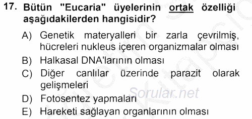Genel Biyoloji 1 2012 - 2013 Ara Sınavı 17.Soru