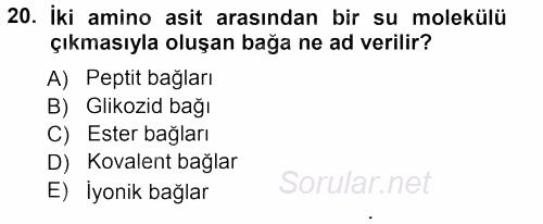 Genel Biyoloji 1 2012 - 2013 Ara Sınavı 20.Soru