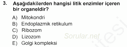 Genel Biyoloji 1 2012 - 2013 Ara Sınavı 3.Soru