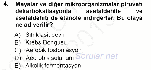 Genel Biyoloji 1 2012 - 2013 Ara Sınavı 4.Soru