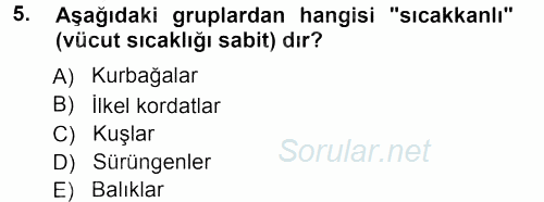 Genel Biyoloji 1 2012 - 2013 Ara Sınavı 5.Soru