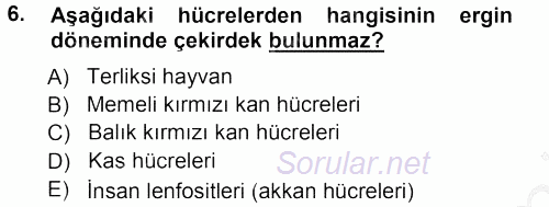 Genel Biyoloji 1 2012 - 2013 Ara Sınavı 6.Soru