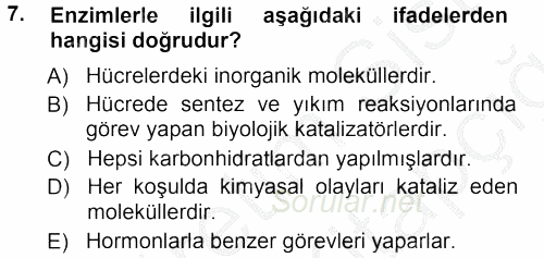Genel Biyoloji 1 2012 - 2013 Ara Sınavı 7.Soru