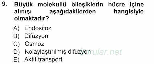 Genel Biyoloji 1 2012 - 2013 Ara Sınavı 9.Soru