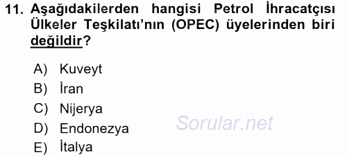 Türkiye Cumhuriyeti İktisat Tarihi 2016 - 2017 Dönem Sonu Sınavı 11.Soru