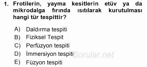 Temel Veteriner Histoloji ve Embriyoloji 2015 - 2016 Tek Ders Sınavı 1.Soru