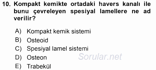 Temel Veteriner Histoloji ve Embriyoloji 2015 - 2016 Tek Ders Sınavı 10.Soru