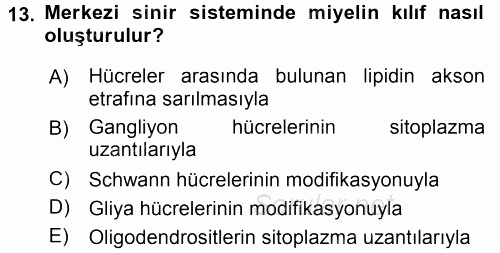 Temel Veteriner Histoloji ve Embriyoloji 2015 - 2016 Tek Ders Sınavı 13.Soru