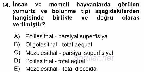 Temel Veteriner Histoloji ve Embriyoloji 2015 - 2016 Tek Ders Sınavı 14.Soru