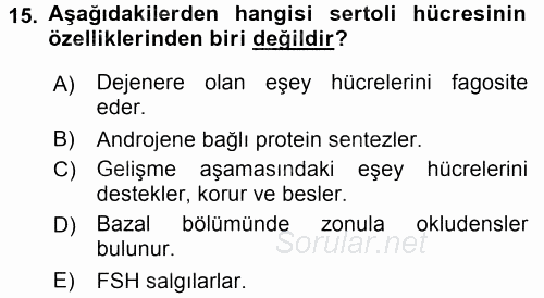 Temel Veteriner Histoloji ve Embriyoloji 2015 - 2016 Tek Ders Sınavı 15.Soru