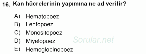 Temel Veteriner Histoloji ve Embriyoloji 2015 - 2016 Tek Ders Sınavı 16.Soru