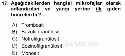 Temel Veteriner Histoloji ve Embriyoloji 2015 - 2016 Tek Ders Sınavı 17.Soru