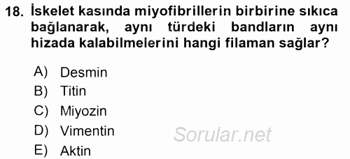 Temel Veteriner Histoloji ve Embriyoloji 2015 - 2016 Tek Ders Sınavı 18.Soru