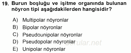 Temel Veteriner Histoloji ve Embriyoloji 2015 - 2016 Tek Ders Sınavı 19.Soru