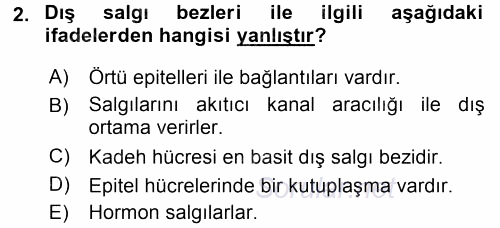 Temel Veteriner Histoloji ve Embriyoloji 2015 - 2016 Tek Ders Sınavı 2.Soru