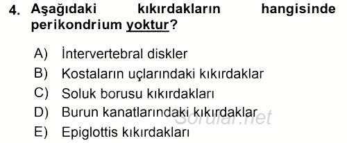 Temel Veteriner Histoloji ve Embriyoloji 2015 - 2016 Tek Ders Sınavı 4.Soru