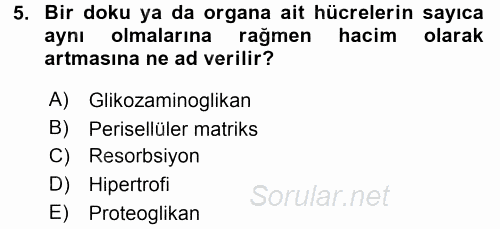 Temel Veteriner Histoloji ve Embriyoloji 2015 - 2016 Tek Ders Sınavı 5.Soru