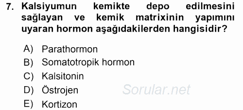 Temel Veteriner Histoloji ve Embriyoloji 2015 - 2016 Tek Ders Sınavı 7.Soru