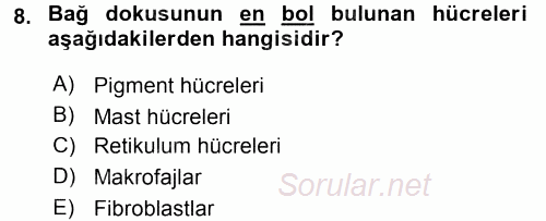 Temel Veteriner Histoloji ve Embriyoloji 2015 - 2016 Tek Ders Sınavı 8.Soru